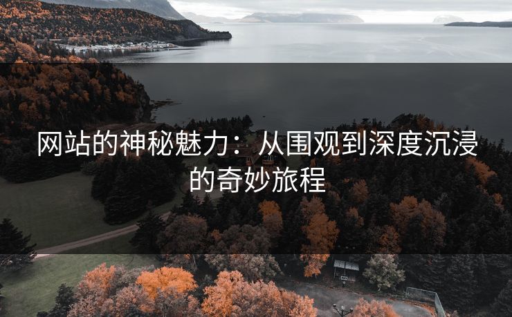 网站的神秘魅力：从围观到深度沉浸的奇妙旅程