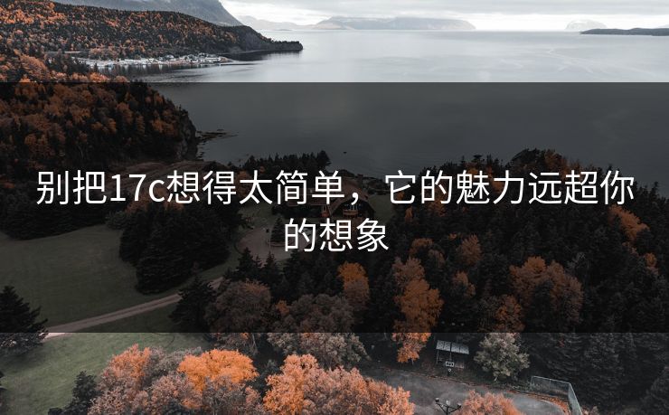 别把17c想得太简单，它的魅力远超你的想象