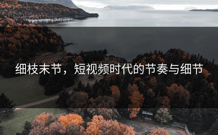 细枝末节，短视频时代的节奏与细节