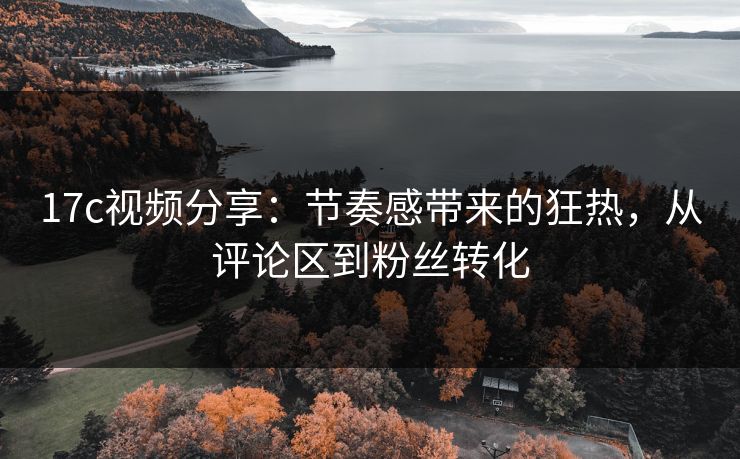 17c视频分享：节奏感带来的狂热，从评论区到粉丝转化