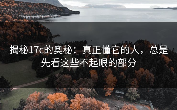 揭秘17c的奥秘：真正懂它的人，总是先看这些不起眼的部分