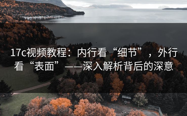 17c视频教程：内行看“细节”，外行看“表面”——深入解析背后的深意